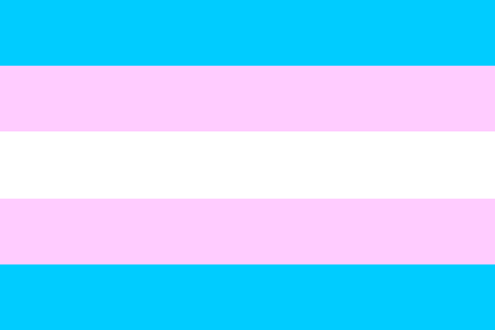 MUMC: We will fly the Transgender Flag on Transgender Day of Remembrance, November 20th