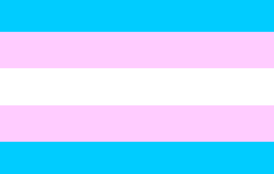 MUMC: We will fly the Transgender Flag on Transgender Day of Remembrance, November 20th