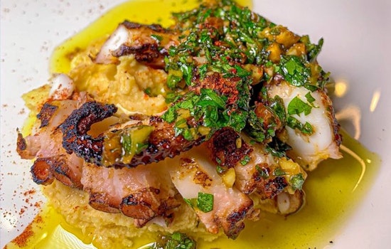 New American spot, Counter Culture, debuts in Tampa-bayshore Gardens