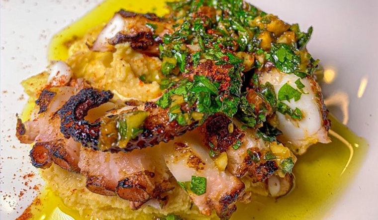 New American spot, Counter Culture, debuts in Tampa-bayshore Gardens