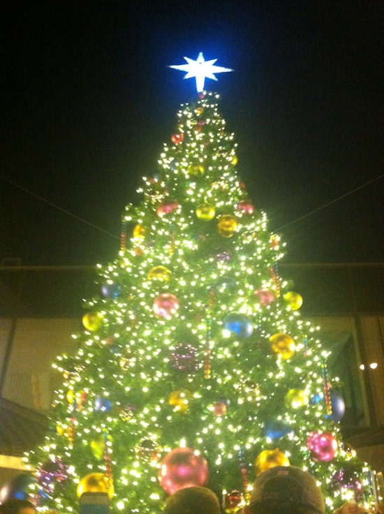 PHOTOS: Hundreds of Castro neighbors turn out for annual Holiday Tree Lighting Ceremony