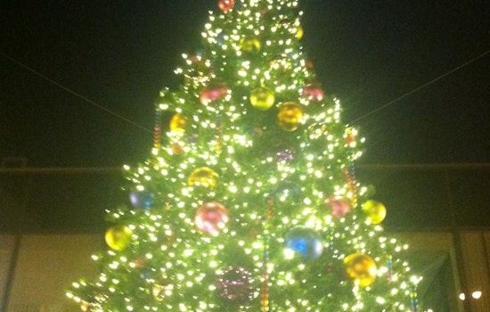 PHOTOS: Hundreds of Castro neighbors turn out for annual Holiday Tree Lighting Ceremony