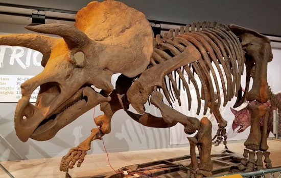 The 4 best museums in Washington