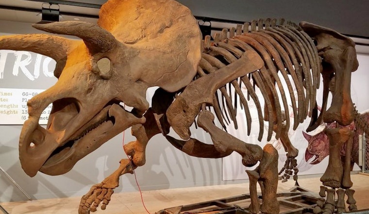 The 4 best museums in Washington