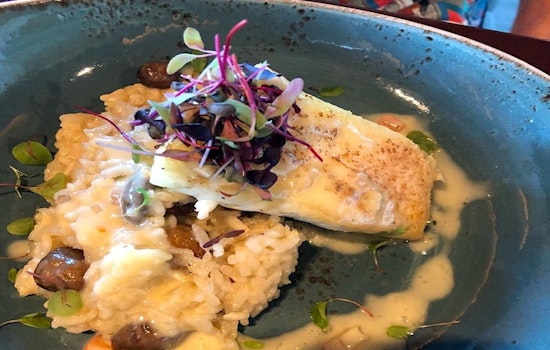 Orlando's 5 best spots to indulge in seafood