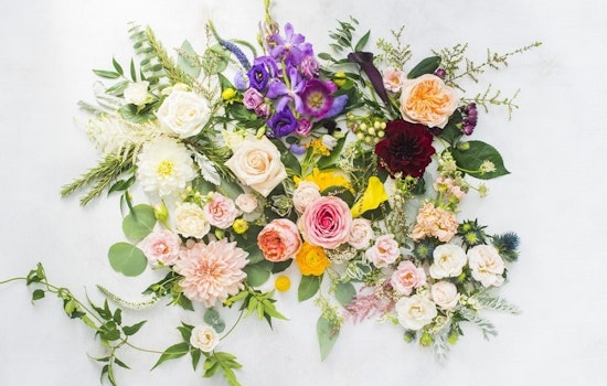 Baltimore's top 3 florists to visit now