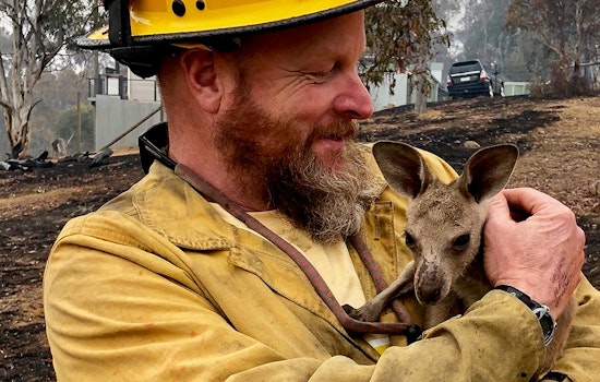 Art prints, lattes & pole dancing: How San Franciscans can help wildfire victims in Australia