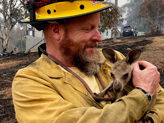 Art prints, lattes & pole dancing: How San Franciscans can help wildfire victims in Australia