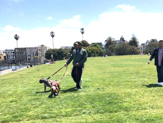 Police seek suspect, 2 dogs in Dolores Park attack
