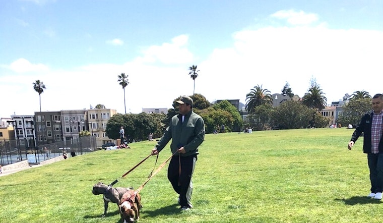 Police seek suspect, 2 dogs in Dolores Park attack