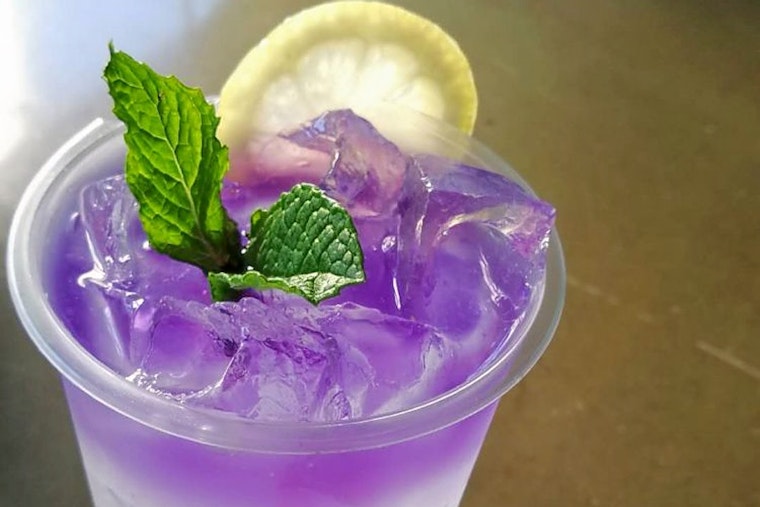 Tea Village brings bubble teas and more to Downtown