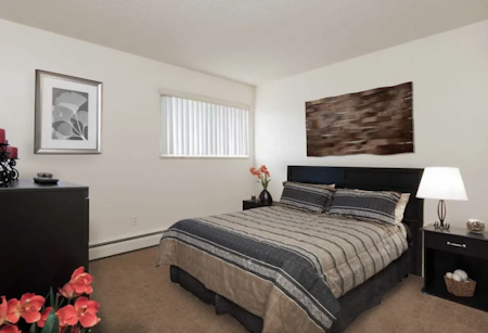 Renting in Colorado Springs: What's the cheapest apartment available right now?