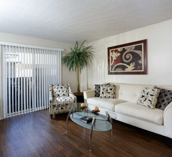 Renting in Albuquerque: What's the cheapest apartment available right now?