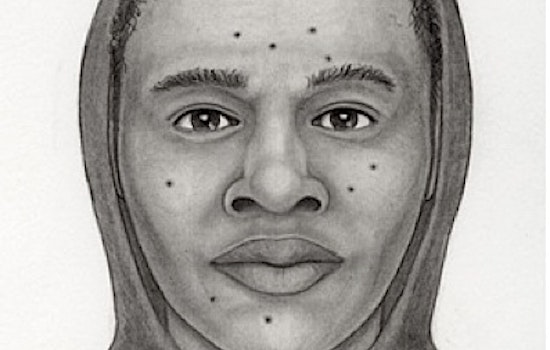 CRIME WATCH UPDATE: SFPD Releases Sketch of Carjacking Suspect