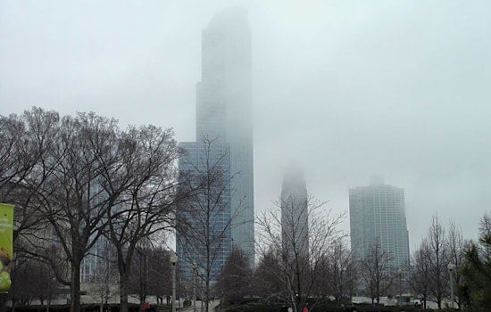 Top Chicago news: Local child dies from flu; coyotes bite boy, man in Lincoln Park, the Loop; more