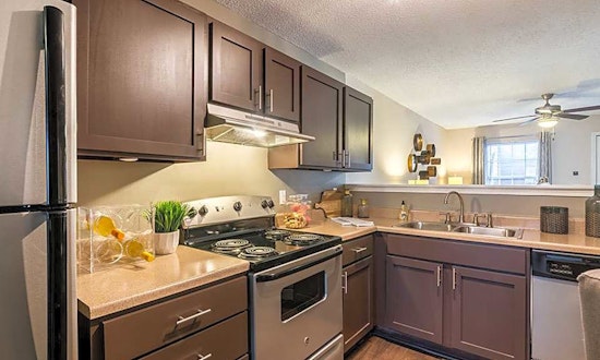 Budget apartments for rent in Harris-Houston, Charlotte