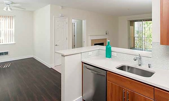 What apartments will $3,500 rent you in Downtown, today?