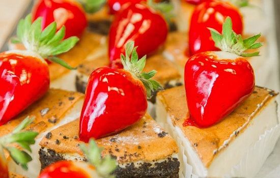 Tampa's 5 top bakeries (that won't break the bank)