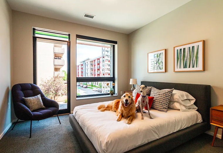 Apartments for rent in Denver: What will $2,400 get you?