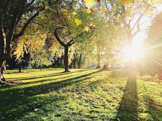 4 cool community and culture events in Oakland this weekend