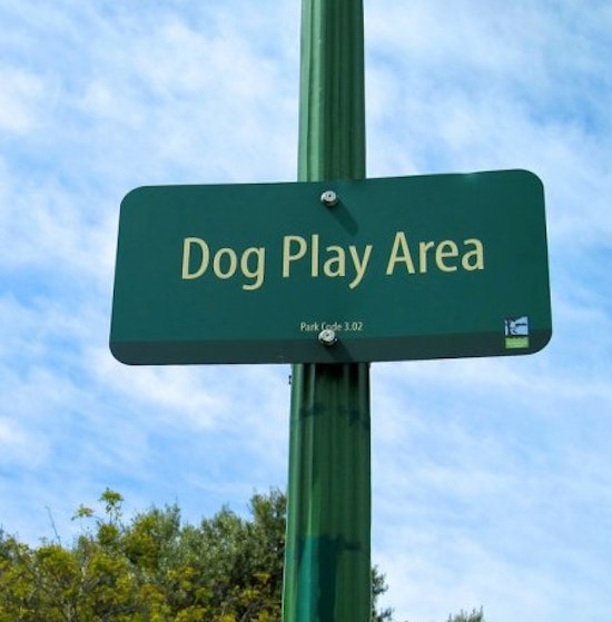 UPDATE: 11 Million Dollar Dolores Park Renovations Face Last Minute Appeal
