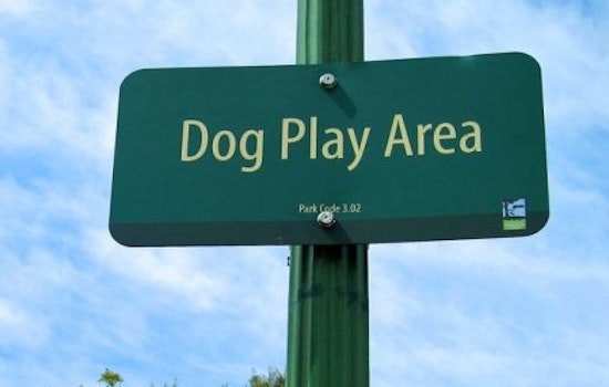 UPDATE: 11 Million Dollar Dolores Park Renovations Face Last Minute Appeal