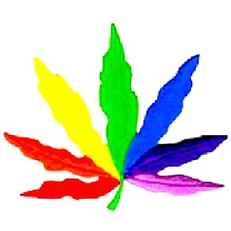 Castro's Medical Marijuana Dispensary Apothecarium Targeted by the D.E.A.