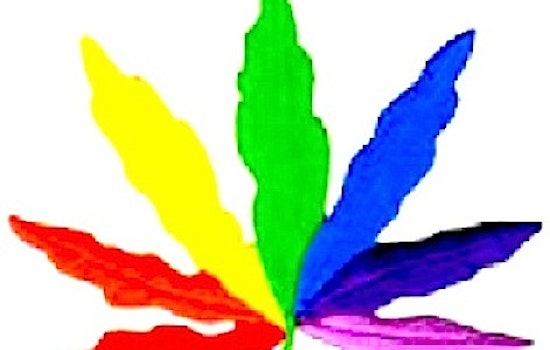 Castro's Medical Marijuana Dispensary Apothecarium Targeted by the D.E.A.