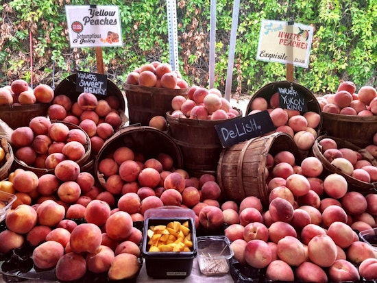 3 events to check out in Brentwood this weekend