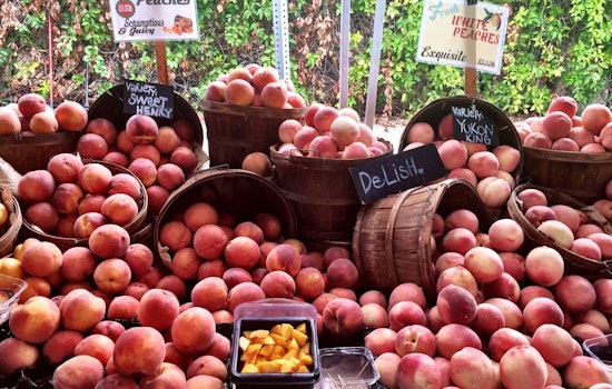 3 events to check out in Brentwood this weekend