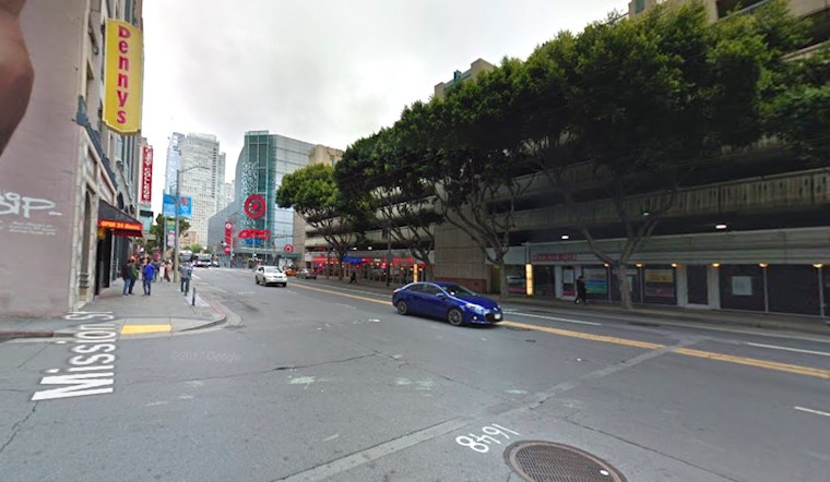 Three suspects steal lap dog in SoMa robbery