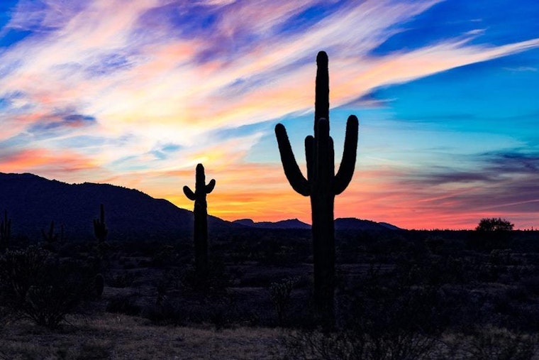 5 ways to enjoy your week in Phoenix