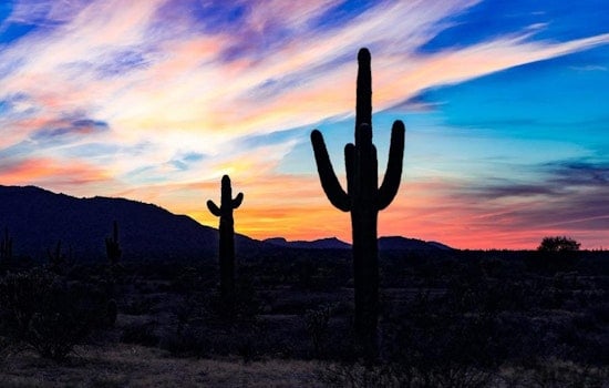 5 ways to enjoy your week in Phoenix