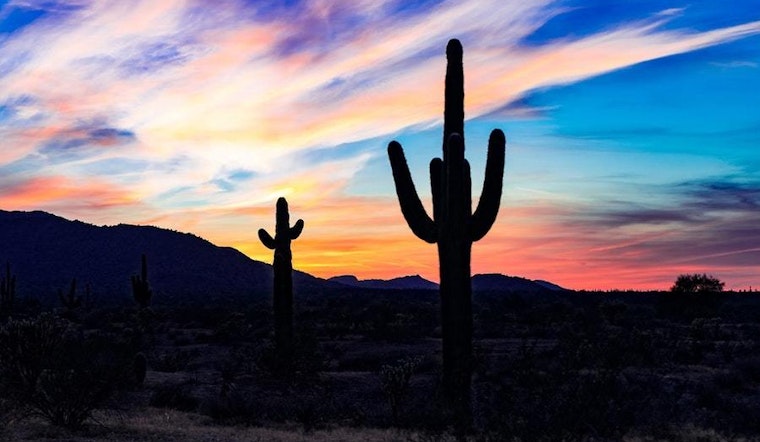 5 ways to enjoy your week in Phoenix