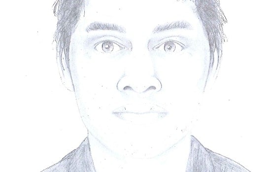 Violent Assault on Hancock Street near Sanchez St, Suspect Sought