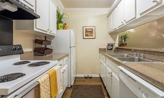 What apartments will $1,300 rent you in Far North, this month?
