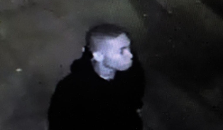 VIDEO: Punk wanted in Pink Saturday assault