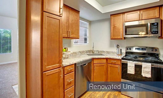 What apartments will $1,300 rent you in Paradise Valley, today?