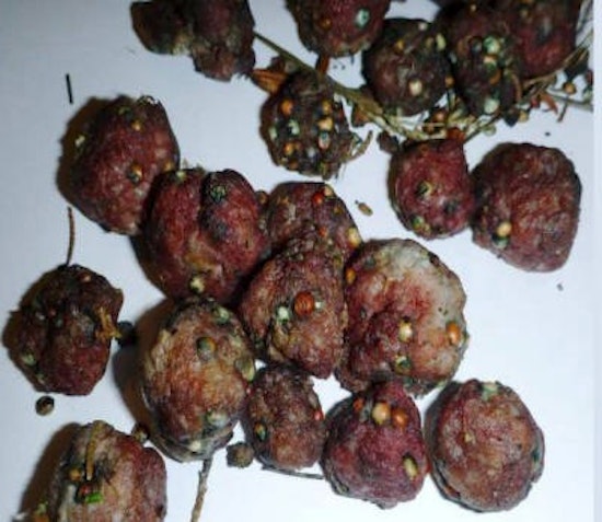ALERT: Dog Owners Beware Poison Meatballs Found At Local Parks