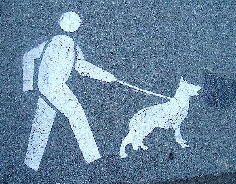 Mini News Round Up: CA Supreme Court Nixes Prop 8 Challenge & New City Dog Walker Regs