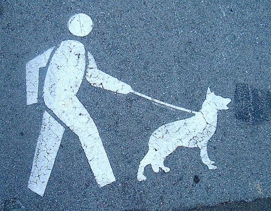 Mini News Round Up: CA Supreme Court Nixes Prop 8 Challenge & New City Dog Walker Regs