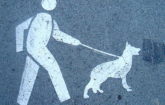 Mini News Round Up: CA Supreme Court Nixes Prop 8 Challenge & New City Dog Walker Regs