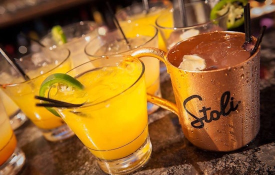 Castro bars Hi Tops and Moby Dick join Russian booze boycott