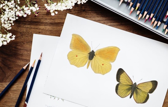 Three artsy events in Raleigh this weekend