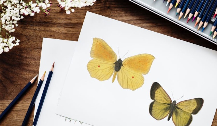Three artsy events in Raleigh this weekend