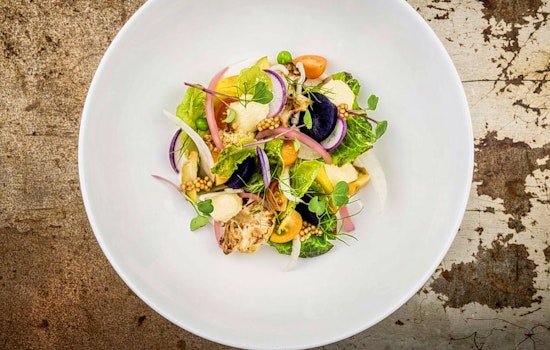 Get to know the freshest new businesses to open in Orlando
