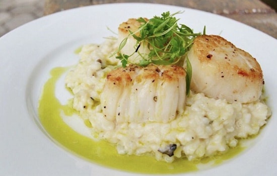 Get these trending New Orleans restaurants on your radar today