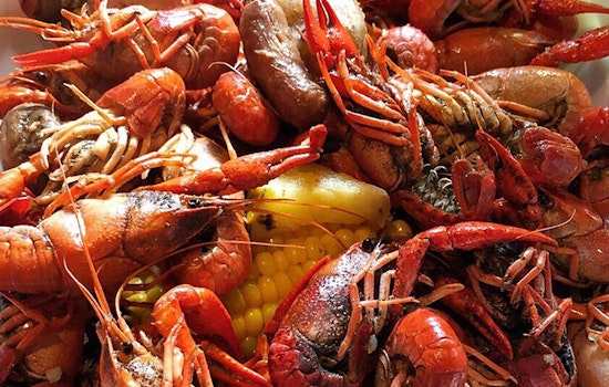 New Orleans' 3 best bars (that won't break the bank)