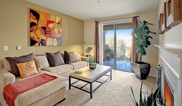What apartments will $3,100 rent you in Downtown right now?