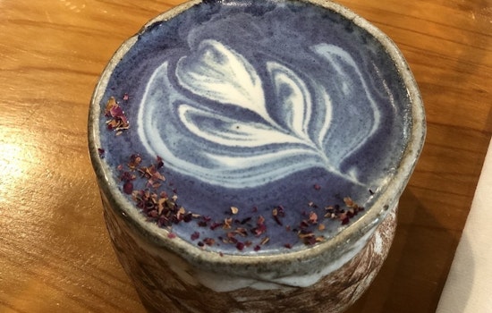 The 4 best spots to score tea in New Orleans